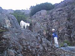 Angus negotiates our lodgings