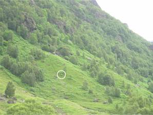 Descent from Polldubh Crags